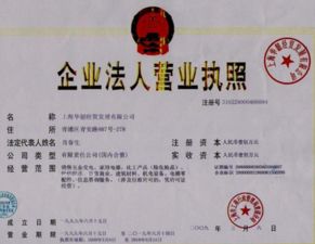 有限責(zé)任公司法人代表變更